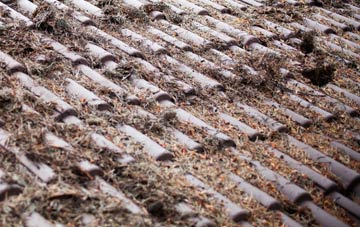 Trerhyngyll roof cleaning companies